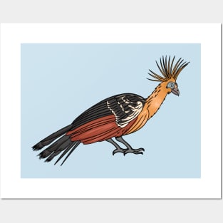 Hoatzin bird cartoon illustration. Posters and Art